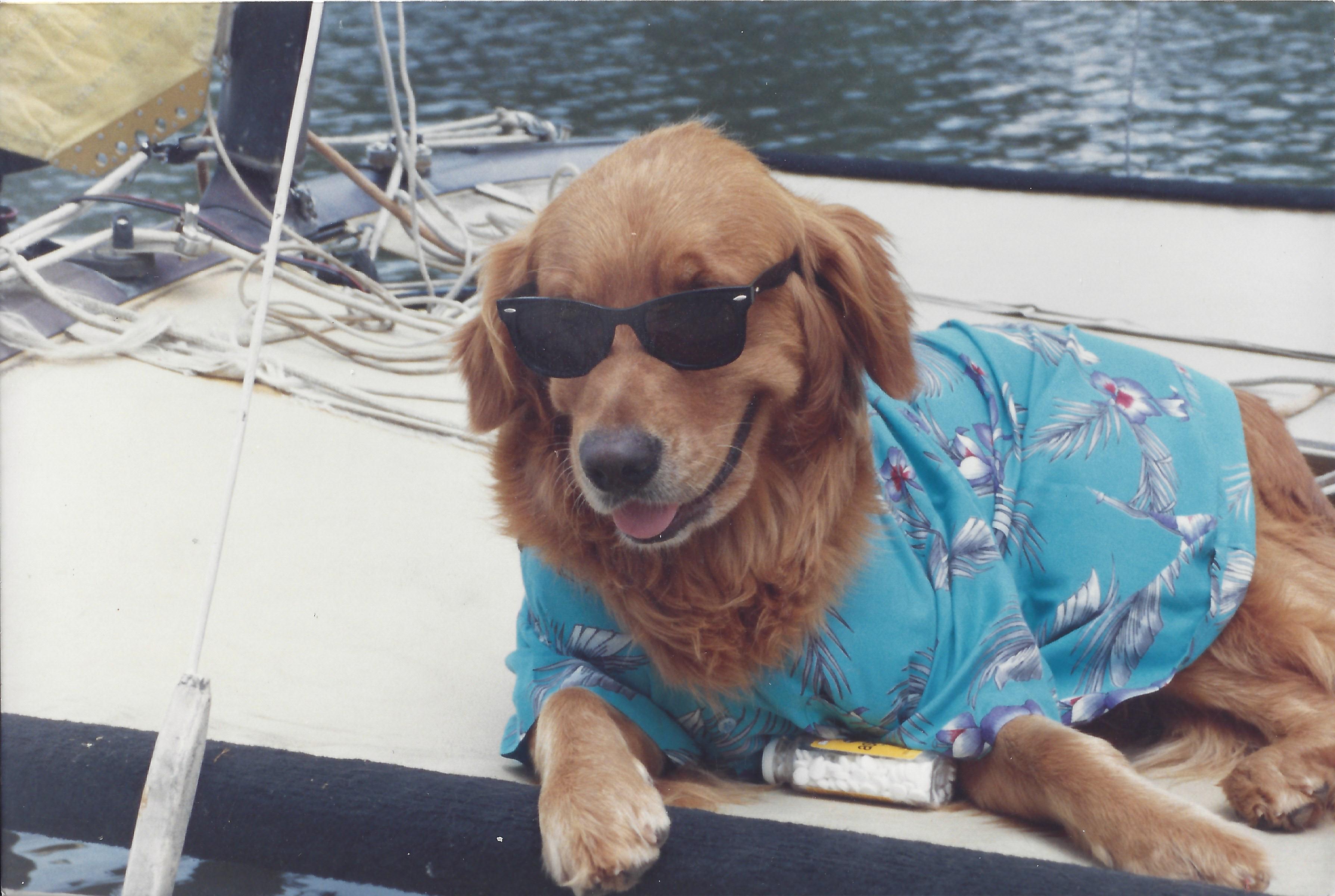  It is Smooth Sailing when you let Butch Metcalf  handle your Real Estate!