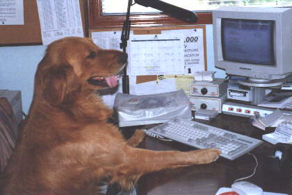 Looking for Real Estate in Panama City Beach? Go to www.PCBWow.com, EZ Searches