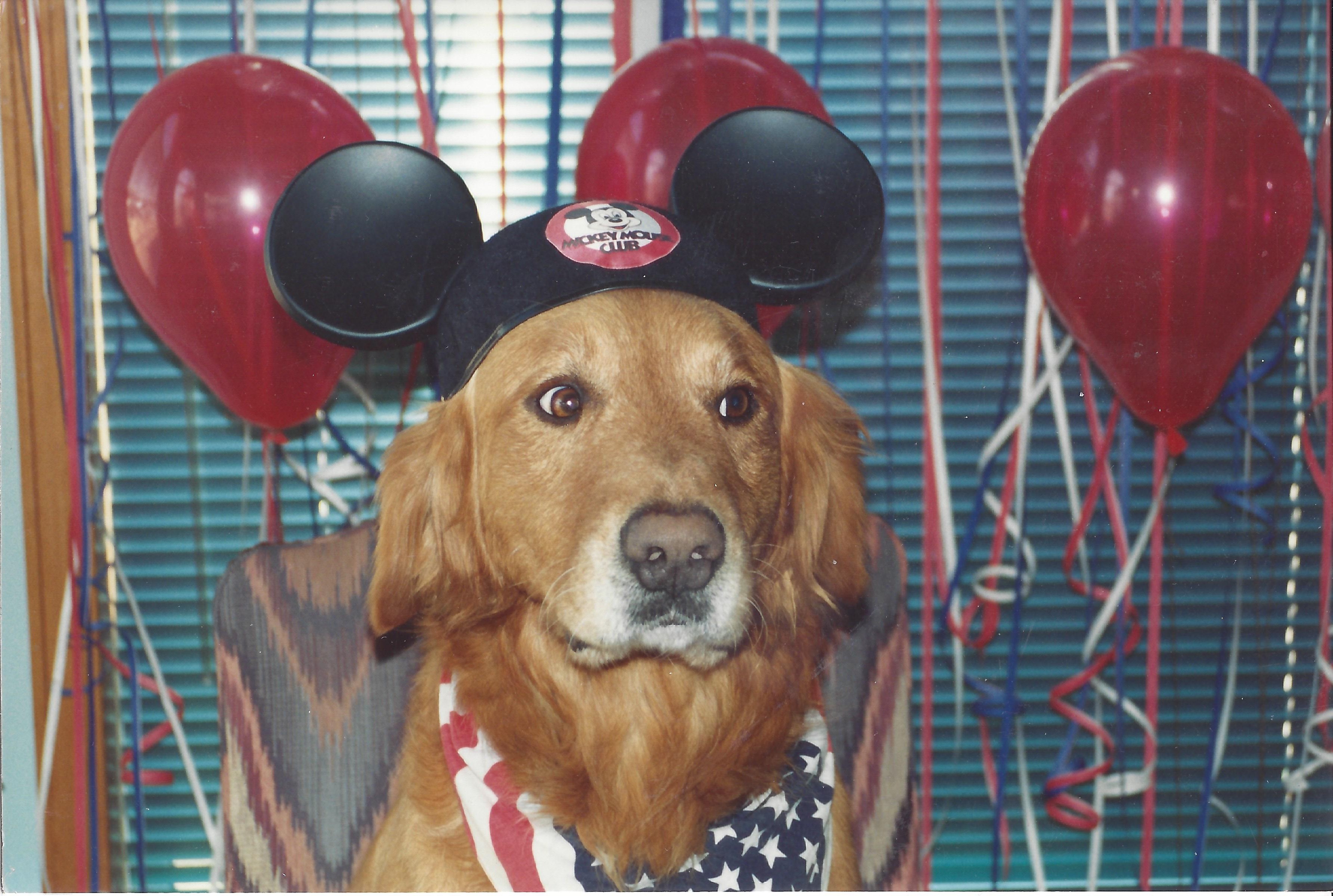 Butch just SOLD our house and we are going to Disney World!