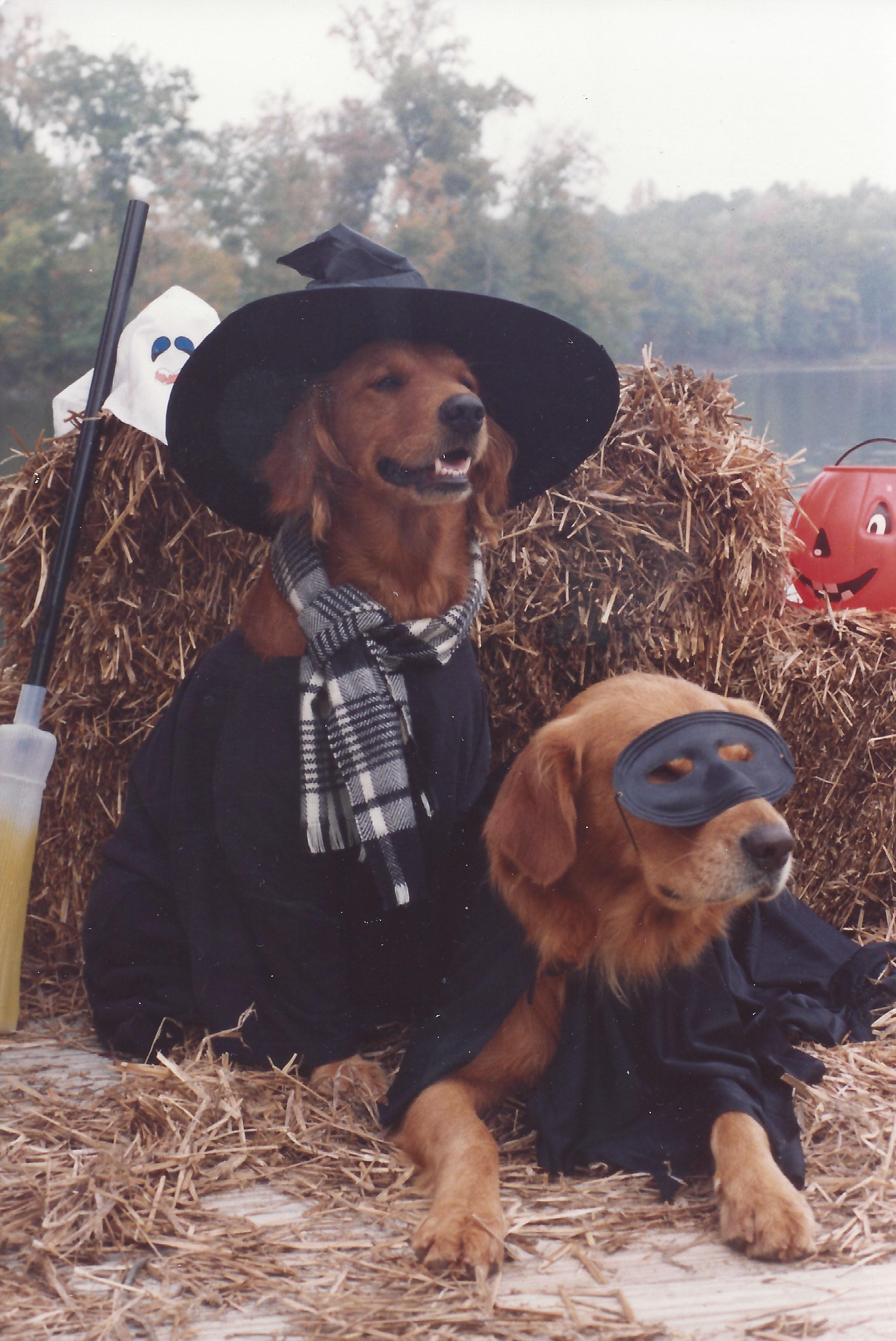 The Fall Season is the Best Time to Sell or Buy Real Estate