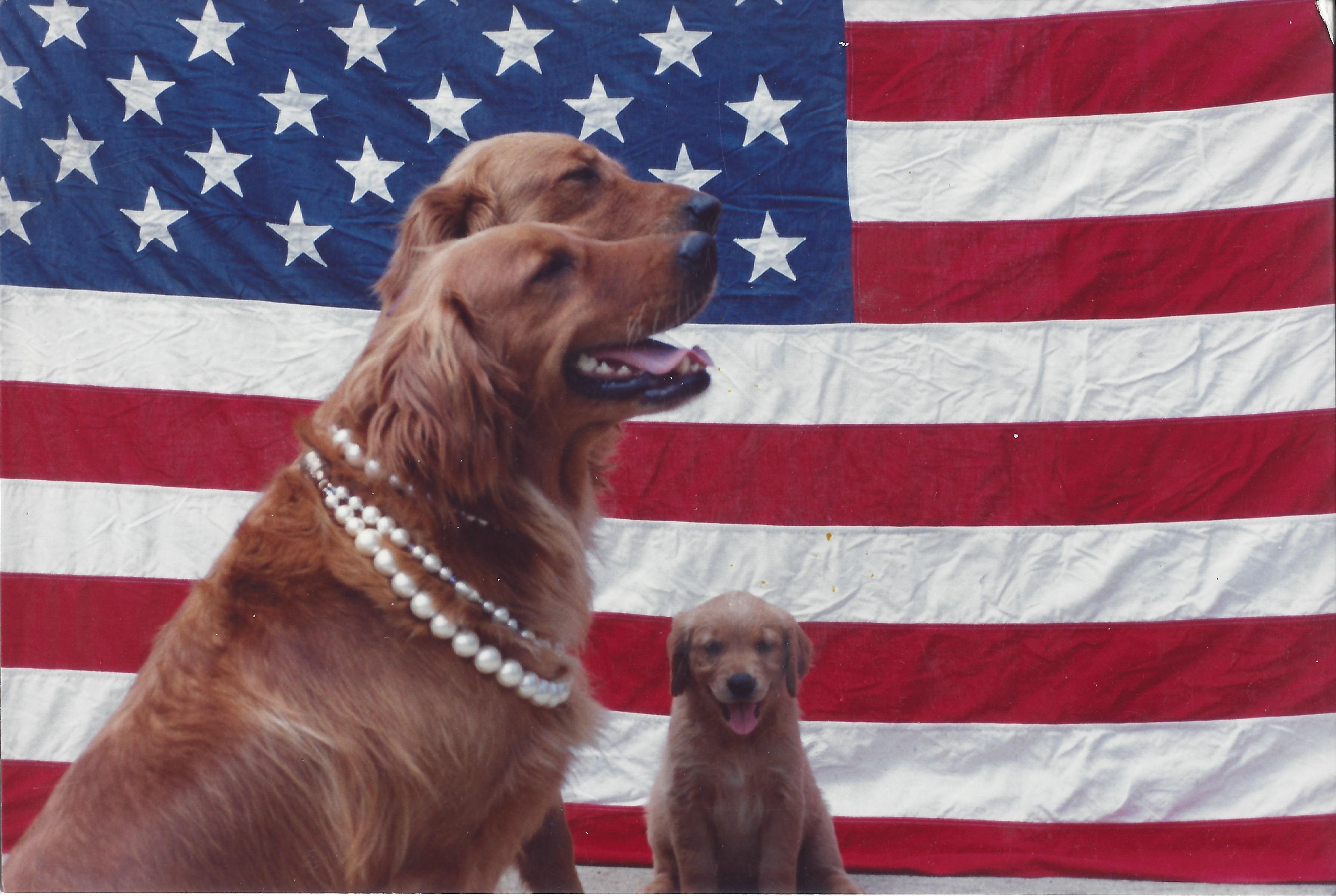 Butch Metcalf / Broker Owner CitiStar Realty in Panama City. A Proud Patriot.