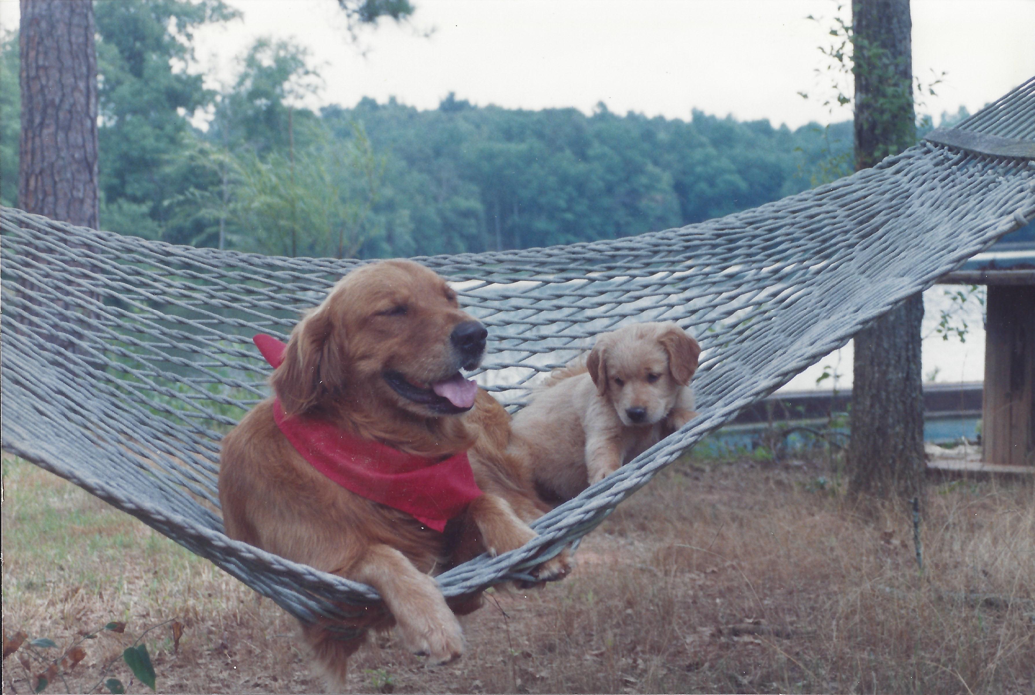 Call Butch and Relax, he'll take care of everything!