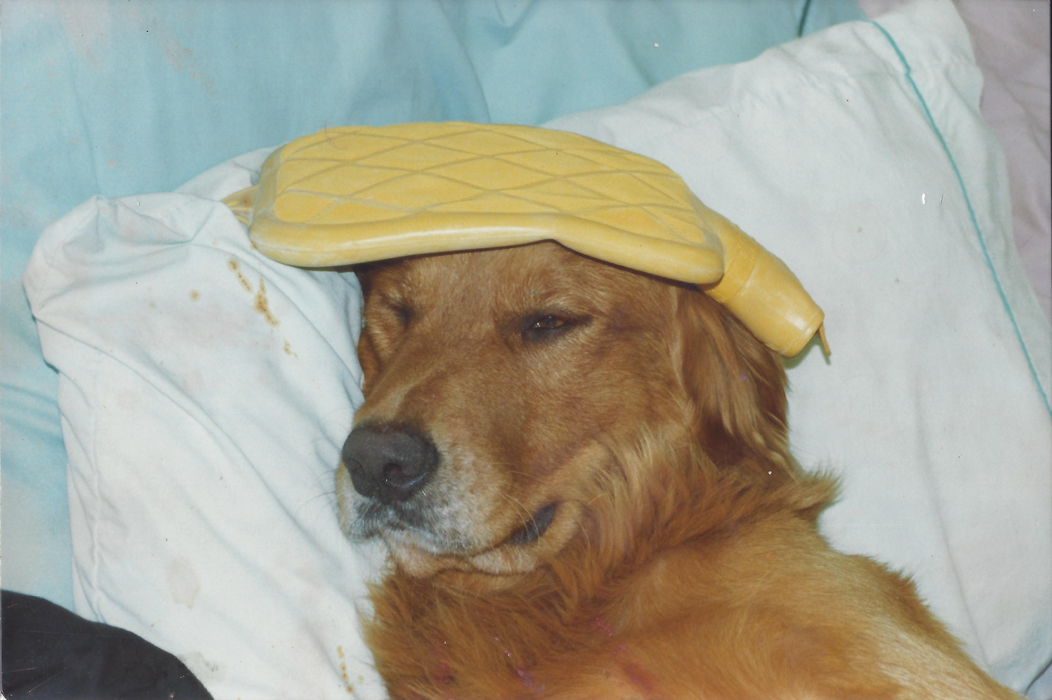 You will be Sick if you don't get Butch Metcalf to handle your Real Estate!